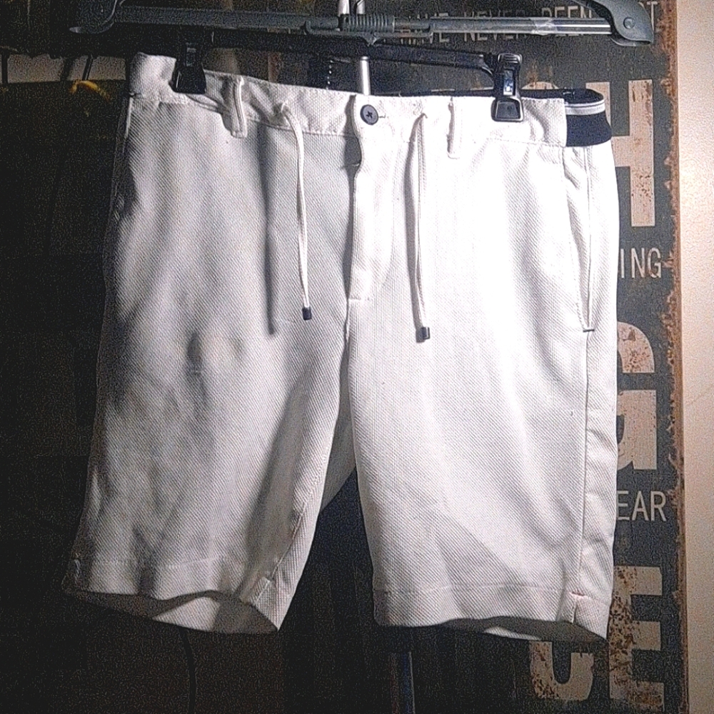 ZARA MENS Shorts